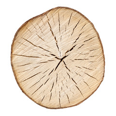 Cracked wooden tree section with rings and texture isolated on white. Circular background.