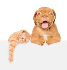 Cat and Dog above white banner.  isolated on white background. Space for text