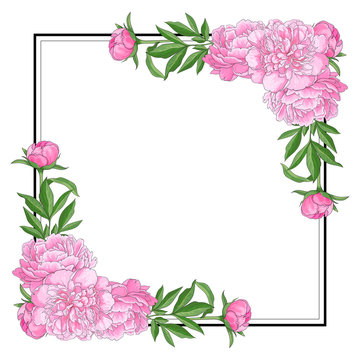 Tender pink peonies on corners of square shape with empty space for text on white background. Hand drawn gentle floral elements for romantic wedding greeting card or invitation. Vector illustration.