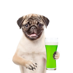 St Patrick's Day concept. Funny puppy with a glass of green beer. isolated on white background