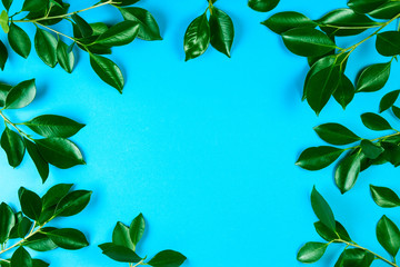 Green tree leaves frame with blue background