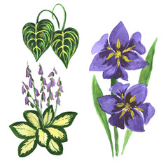 Multicolored wildflowers in the style of watercolors. You can use it for greeting cards, congratulations, for fabric, wrappers.