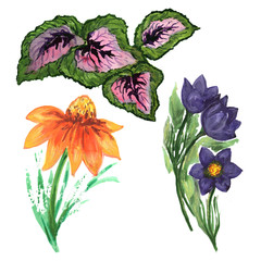 Multicolored wildflowers in the style of watercolors. You can use it for greeting cards, congratulations, for fabric, wrappers.