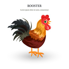 Rooster Vector detailed illustration. colorful cartoon characters
