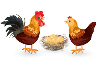 Rooster, chicken and eggs in the nest Vector. Eco farmings