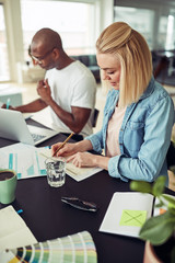 Young businesswoman going over paperwork during an office meetin