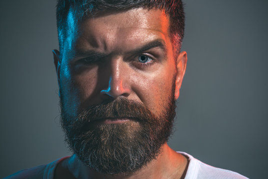 Cropped closeup portrait bearded attractive elegant trendy neat stylish macho. Masculine perfection. Face of serious unshaven man. Thoughtful look. Confident and handsome. Sexy male model. Isolated.