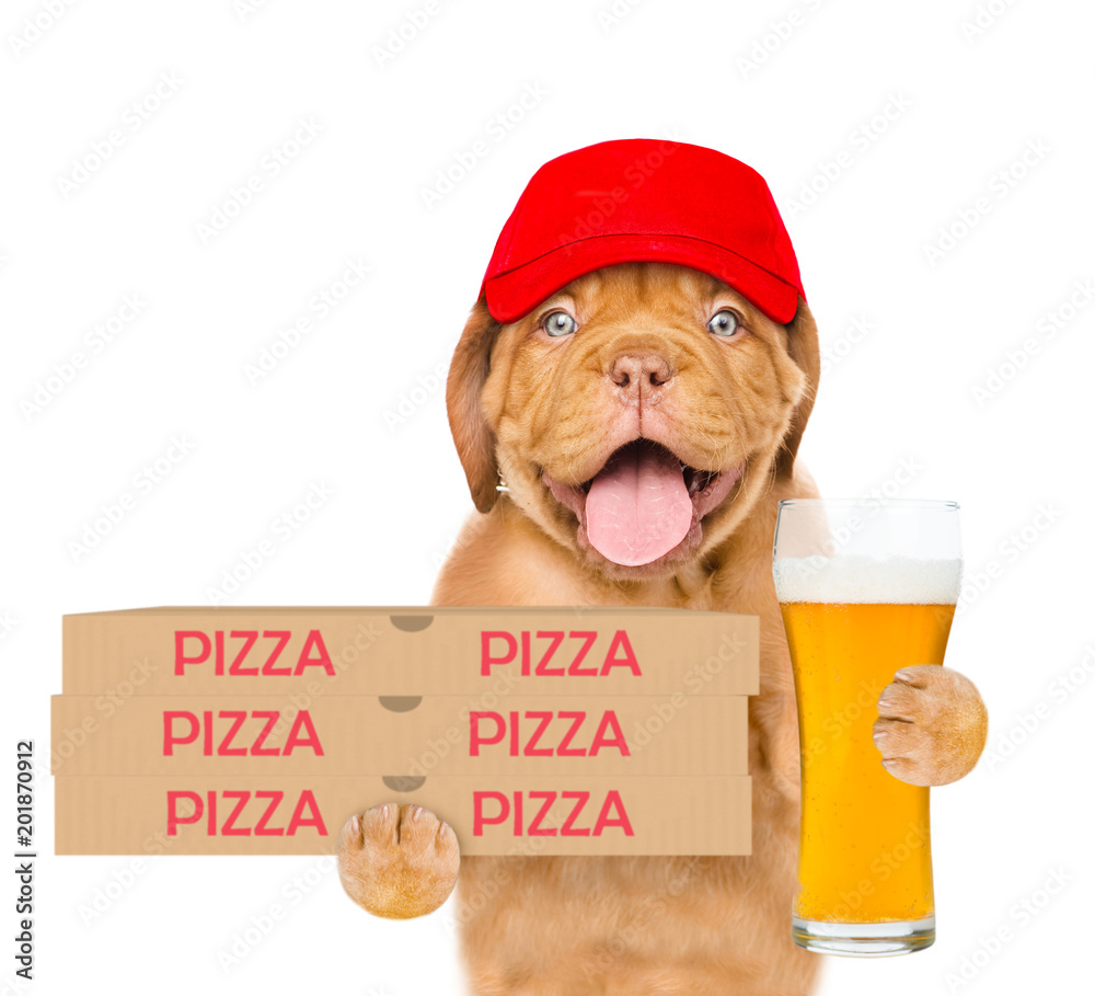 Poster funny pizza delivery puppy in red cap with pizza boxes and beer. isolated on white background