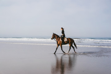 side view of young female equestrian riding horse on sandy beach