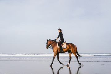 side view of young female equestrian riding horse on sandy beach