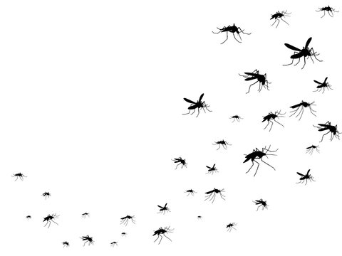 Flying mosquitoes black silhouette isolated. Insect flock in air. Viruses and diseases spreading medical vector concept