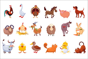 Set of farm animals. Livestock and poultry. Various domestic birds, horses, pig, rabbit, sheep, cats and dogs. Colorful flat vector design