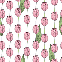 Seamless pattern, tulips, vector