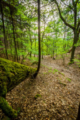 Wander-Lust - Germany