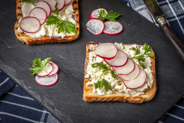 Light healthy sandwiches with bread toasts, soft cheese and freshly gathered organic radishes and parsley.