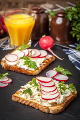 Light healthy sandwiches with bread toasts, soft cheese and freshly gathered organic radishes and parsley.