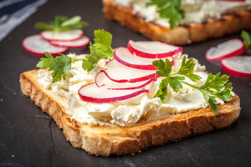 Light healthy sandwiches with bread toasts, soft cheese and freshly gathered organic radishes and parsley.