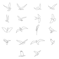 One line birds set. Vector illustration