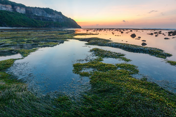 Green rocks beach at Bali, Indonesia.Sunrise at Bali Beach with green seaweeds rocks by the beach.