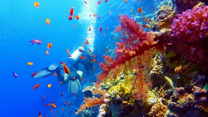Schilderijen op glas Beautiful underwater scenery, colorful coral reef with scuba divers on the background © Tunatura