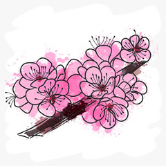 Landscape with sakura branches