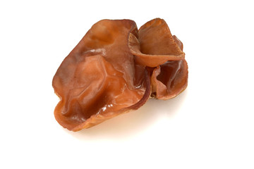 美味しいアラゲキクラゲ（あらげきくらげ）　コピースペースあり　白背景	