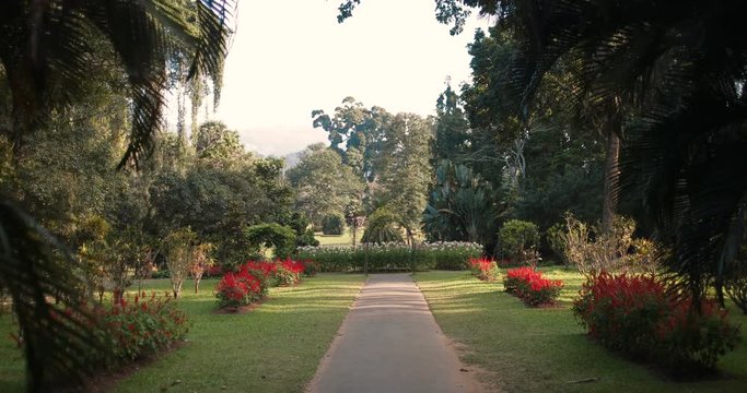 the Royal Botanic Garden
