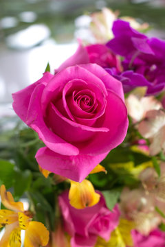 Close-up image of a bouquet of roses pink , violet, yellow 