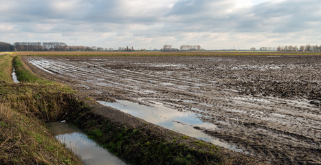 Wet agriculture field