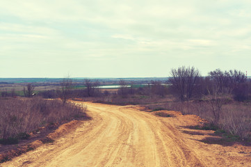 A dirt road among the fields that goes beyond the horizon