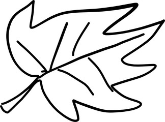 Decorative  openwork leaf in a graphic style