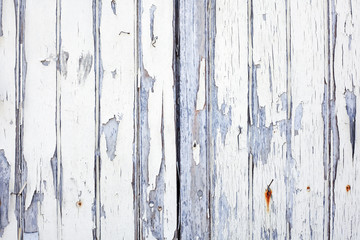 texture of old white wooden wall background.