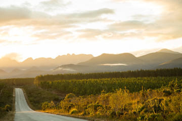 Road in to the sunset.