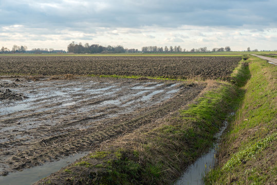 Agricultural fields in the winter season