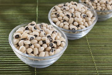 Black-headed beans, Vigna unguiculata