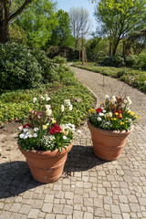 Fototapeta na wymiar Two planters with blooming flowers in the park
