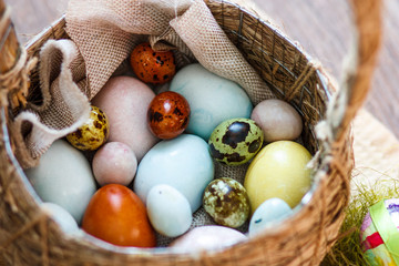 Easter coloured eggs in the basket