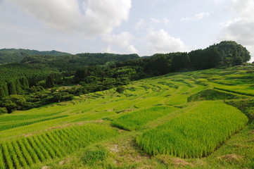 大山千枚田　千葉県鴨川市
