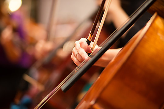 Cello player performing in a symphony orchestra