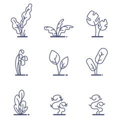 Set of different forest ferns. Flat outline vector illustration. White isolated.