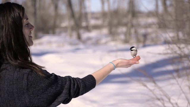 Bird lands a girls outstretched hand