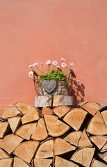 Hausdekoration Frühlingsblumen und Kaminholz