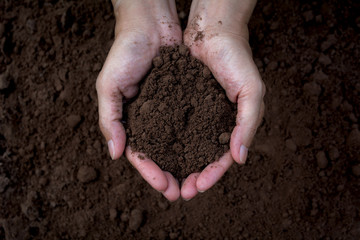 Male holding soil in the hands for planting. Ecology concept.