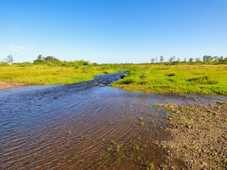 Fototapeta na wymiar Small creek, blue sky - a view of the pampa biome in Uruguaiana, Brazil