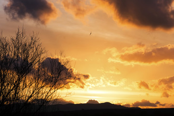 Fototapeta na wymiar sunset background, blue sky with orange clouds and sun