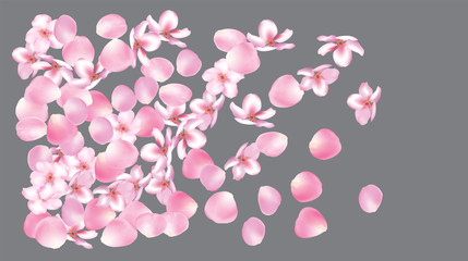 Wedding Sakura Cherry, Rose Petals Floral Confetti. Shower Vector Peach Apple Blossom Soft Sakura Cherry and Rose Confetti Falling Down. Windy Floral Design, Natural Cosmetics Decoration.