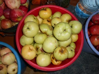 Apple's, fruits