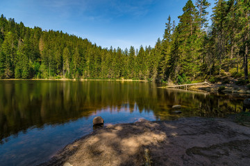 Obraz premium Wildsee in Germany Black Forest / Schwarzwald April 2018