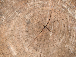 Naklejka premium Background wood