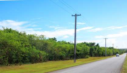 Fototapeta na wymiar Straight road to horizon with utility pole